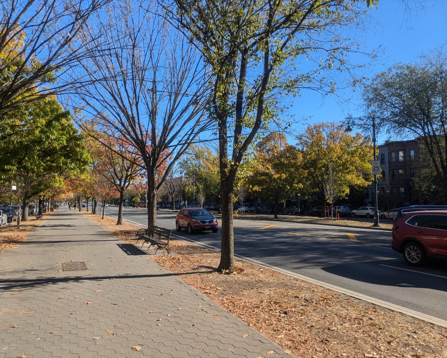 View of Crown Heights, New York