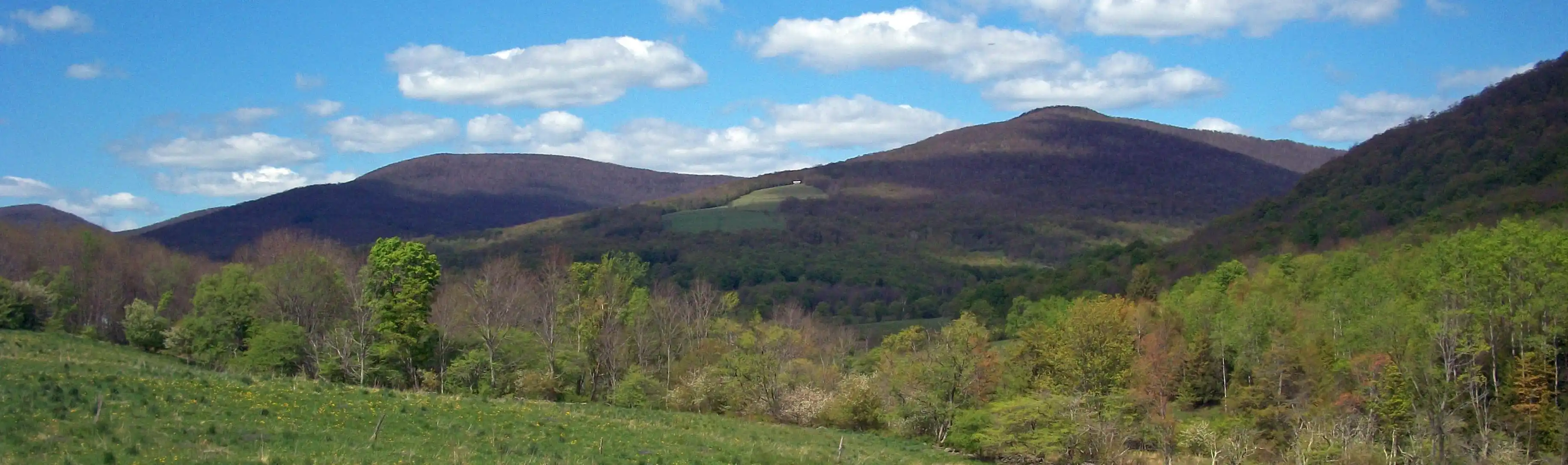 View of Halcott, New York