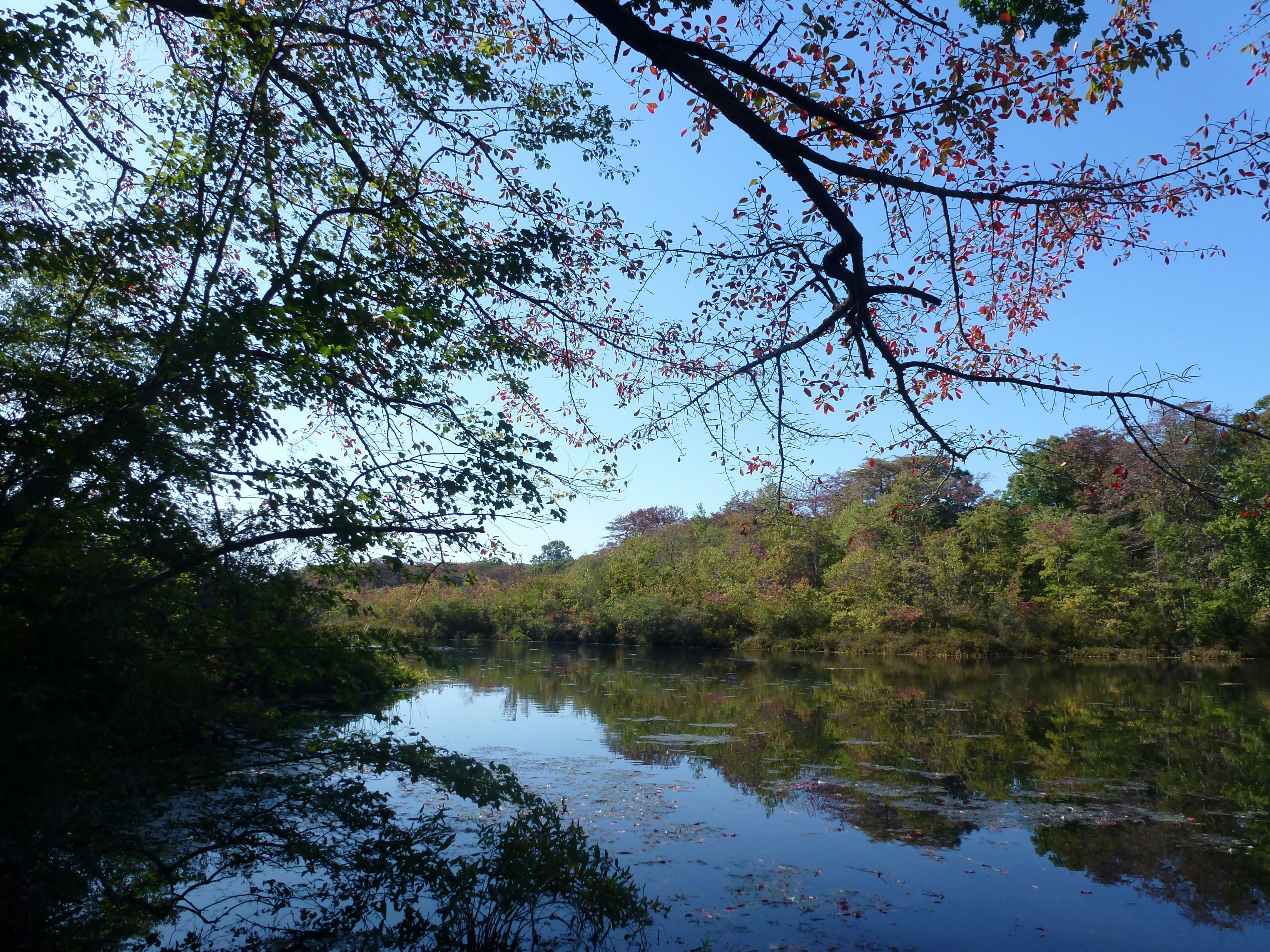 View of Hauppauge, New York
