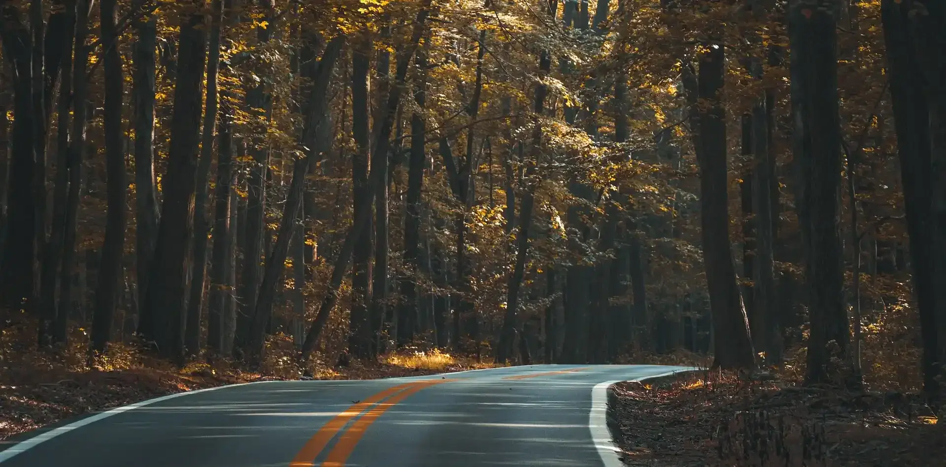 View of New Hyde Park, New York