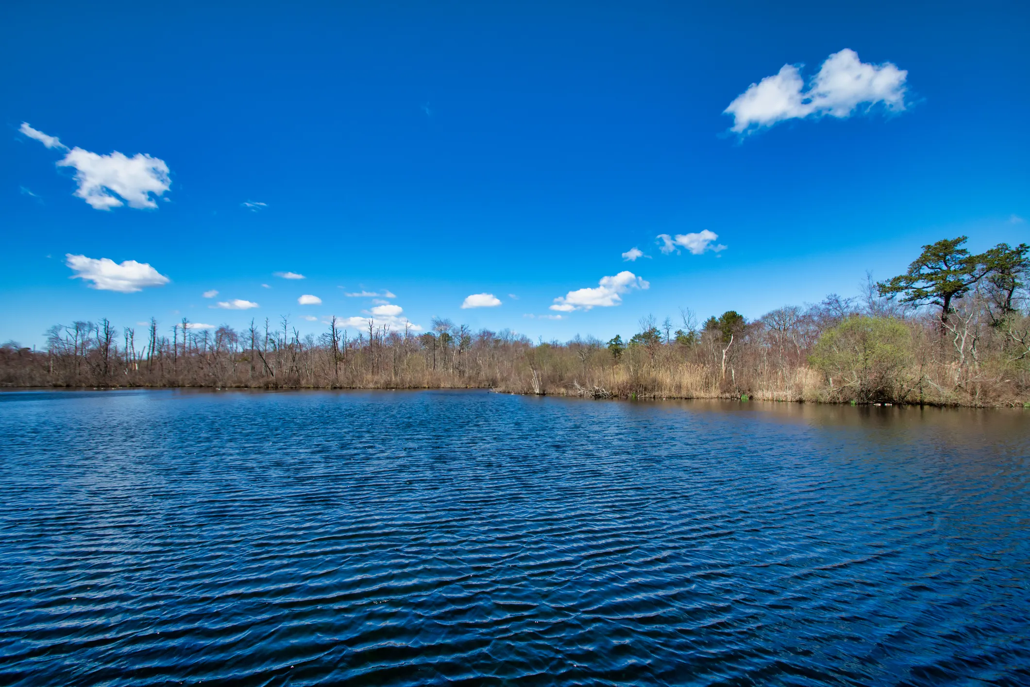 View of Islandia, New York