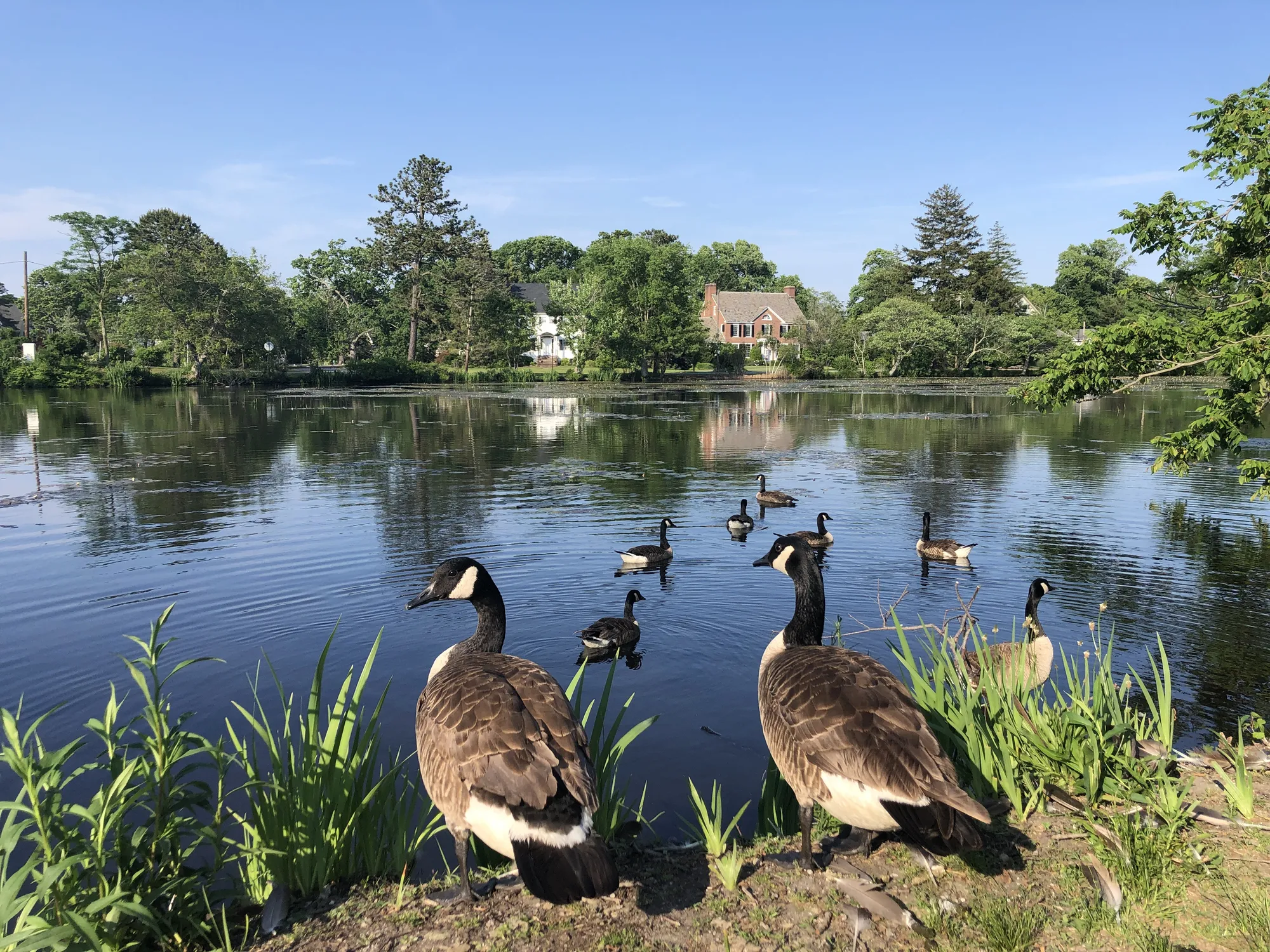 View of Brightwaters, New York