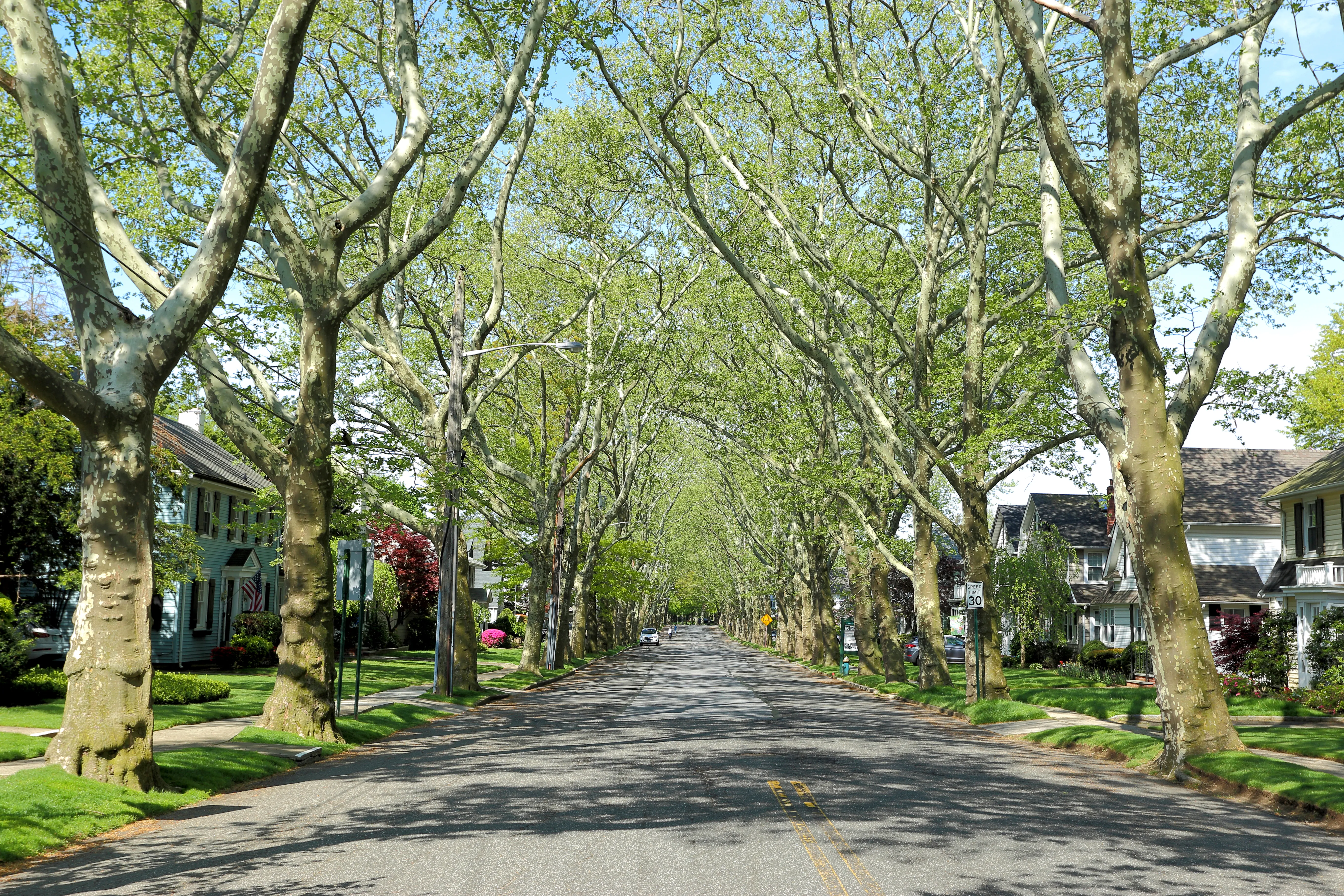 View of Bellerose, New York