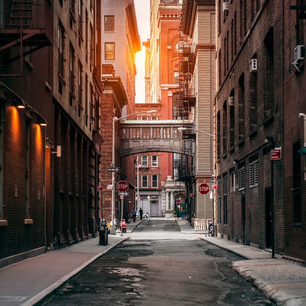 View of Bloomingdale District, New York
